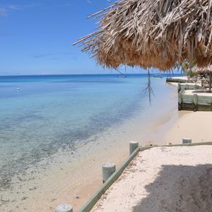 Meet your Posher, Laurence